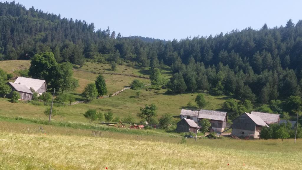 House Nada Διαμέρισμα Donji Babin Potok Εξωτερικό φωτογραφία